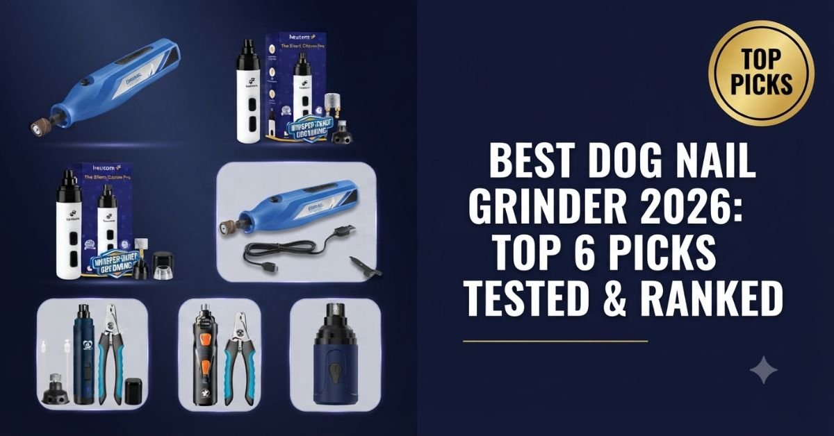 best dog nail grinder